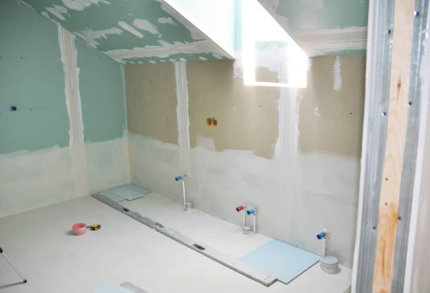 Best Industrial Mold Remediation  in Barneveld, WI