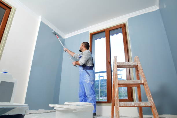  Barneveld, WI Mold Removal Pros