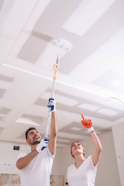 Best Dehumidification Services  in Barneveld, WI