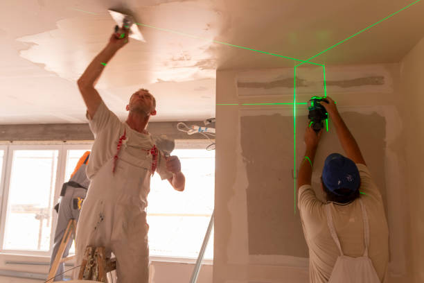 Best Mold Documentation for Insurance Claims  in Barneveld, WI