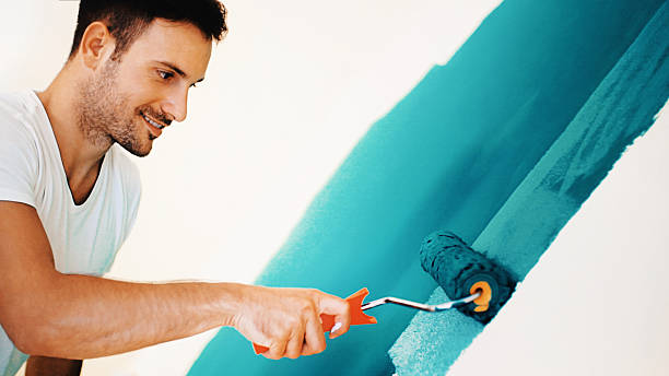 Best Basement Mold Removal  in Barneveld, WI